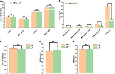 Metagenomic and Metabolomic Insights Into the Mechanism Underlying the Disparity in Milk Yield of Holstein Cows